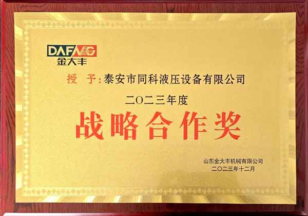 金大丰战略合作奖