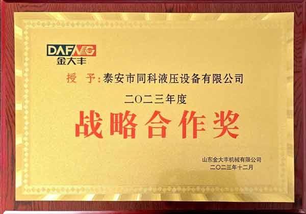 金大丰战略合作奖